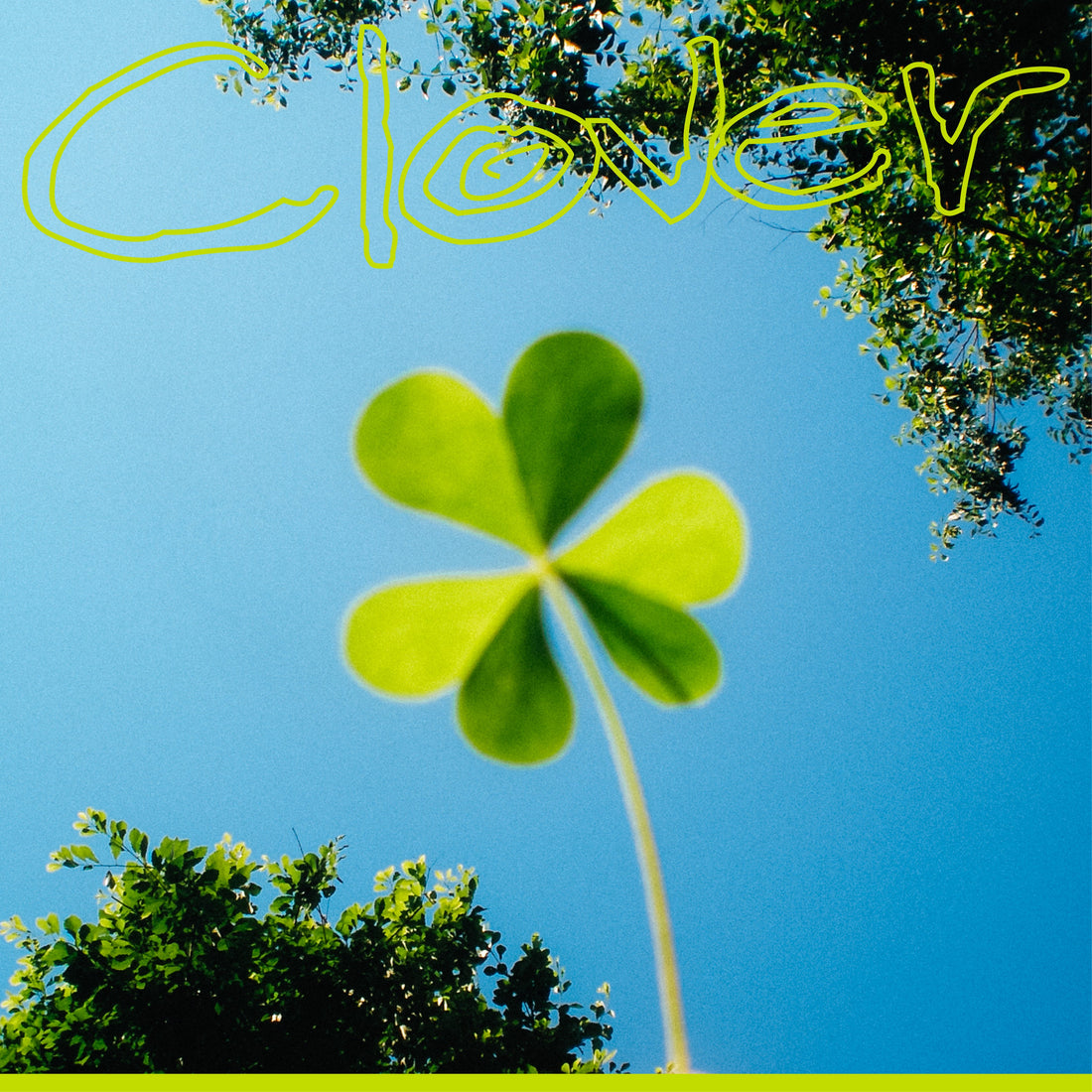 Clover